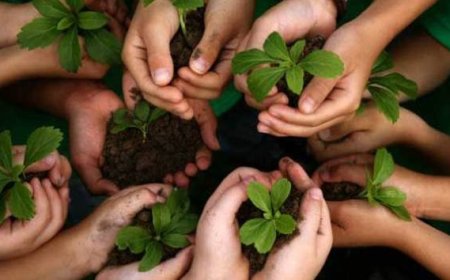 Every student should spend some time volunteering for a cause