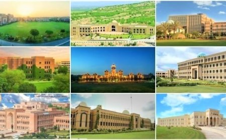 The impact of the pandemic on Universities