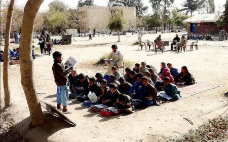 Education and Rural Areas in Pakistan