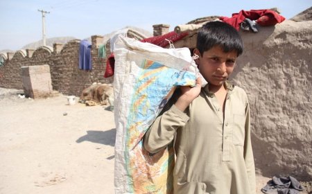 Highest School Dropout Rates Expected in Pakistan