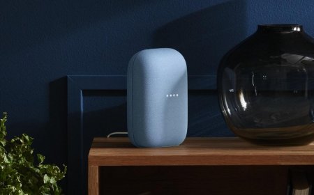 Google Nest Smart Speaker â€œ Best Value