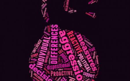 The Rise of Aggressive Tendencies in the Younger Generation