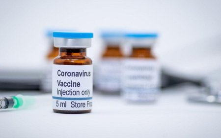 Possible Corona vaccine available in December: WHO