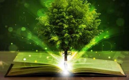 Educational Speech on Importance of Education