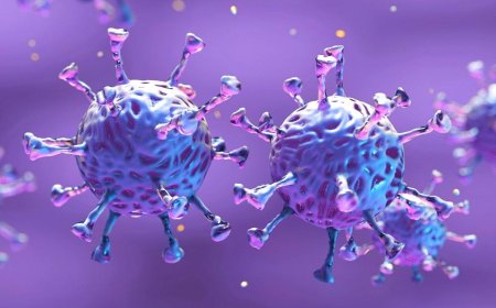 Will the Coronavirus slowdown in the winters?