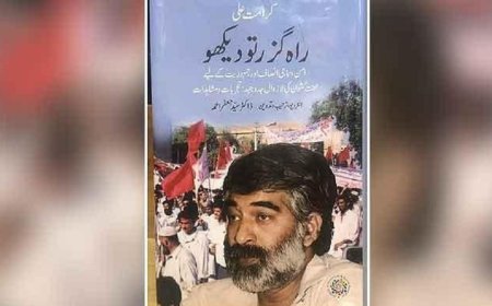 Karamat Ali Raahguzar To Dekho book based on his interviews