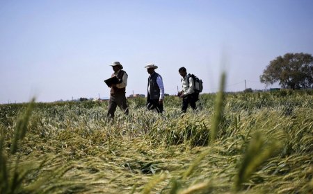 The importance of an Agricultural Science degree