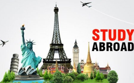 What challenges do students face when studying abroad?