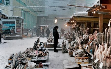 Life in the world coldest regions