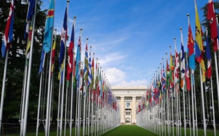 What is the best country in the world for students to seek an education?