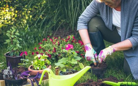 Is gardening a good hobby?