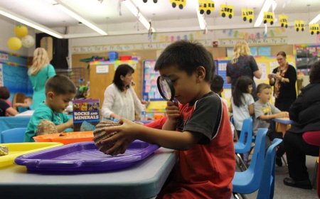 Challenges for guidance in Early Childhood and Primary Education