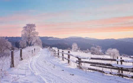 Everything you need to know about winter running - clothes, winter running shoes & tips on running sessions