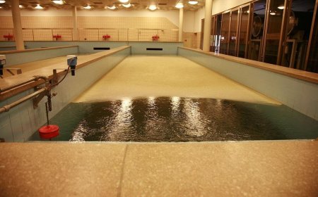 What are the best Water Filtration Systems for Well Water?