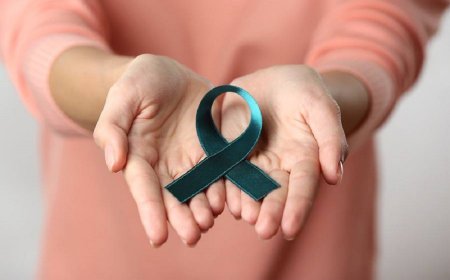 Discover Drug of Ovarian Cancer