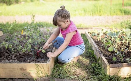 How to teach children to grow and eat vegetables
