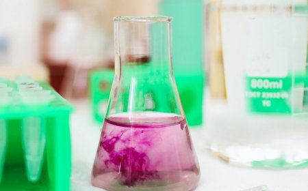 What is a dissolution?