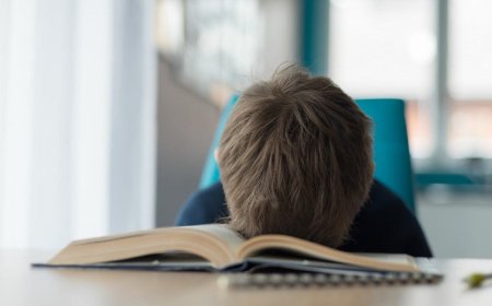 What to do if your child refuses to learn?