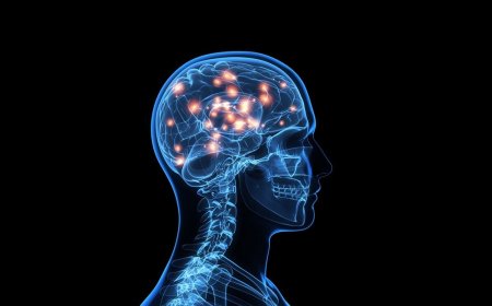 How to learn 5 techniques of effective learning