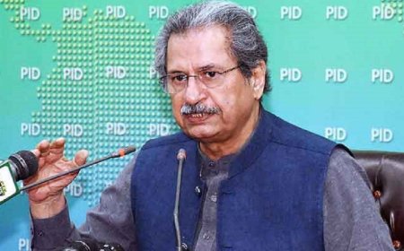 Shafqat Mahmoud highlighted the confusion surrounding the integrated national curriculum