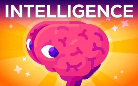 What is intelligence, where does it come from and how is it measured?