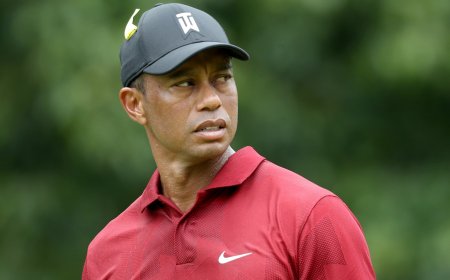 Tiger Woods had a serious car accident