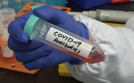 US halts trials of plasma transfusions for COVID-19 patients