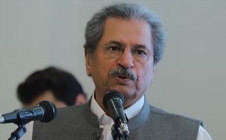 Shafqat Mahmood Announces Religion-Specific Subjects for Minority Students