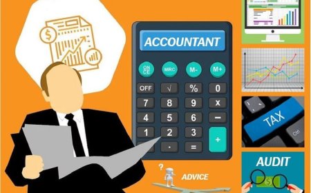 What is interesting about the profession of an accountant?