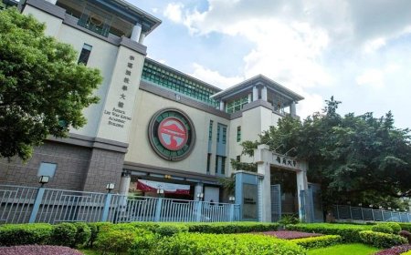 Lingnan University scholar discovers novel reproductive behaviour in native frog species