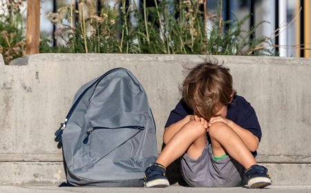 8 reasons why a child does not want to go to school