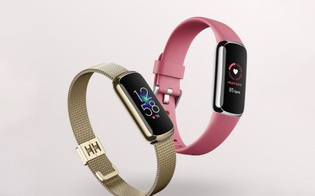 Fitbit Luxe: the new Fitbit measuring bracelet, a luxury design that brings us closer to stress management