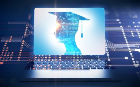 Virtual education: the most important issues
