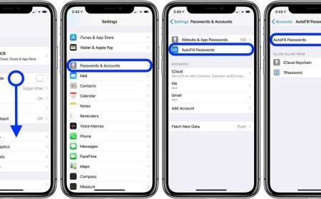 how to activate Google password autocomplete on your iPhone