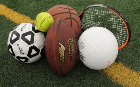 Why should sport be important to everyone?