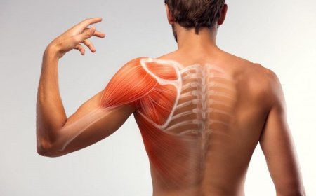 Muscle strain: why does it appear?