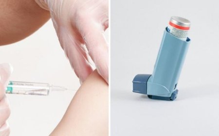 The asthma vaccine has been shown to be effective in experiments on mice