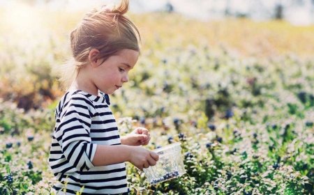 What Benefits Do They Bring Children?