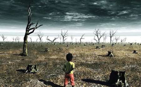 Climate change has been blamed for a third of summer heat deaths