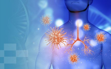 The immune system: how can you strengthen it?