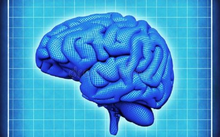 Digitization and its influence on the brain