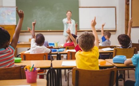 School insurance - how does it work?