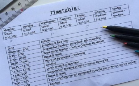 How to create an annual school work plan: an algorithm of actions