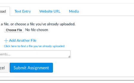 How to add a website to Google and why it is important