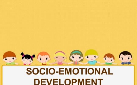 Socio-emotional skills in children