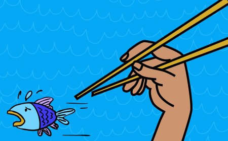 Bad fish - do you know how to recognize it?