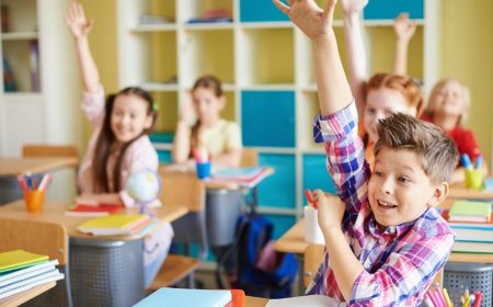 Primary school career counseling - is it a fad?