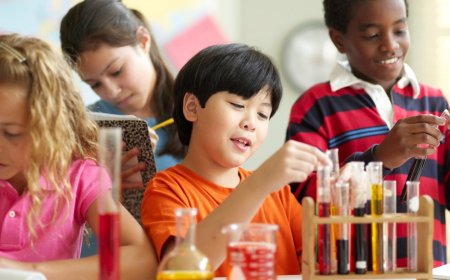 Do I need to memorize dates, names, spelling and other rules at school? Opinions of 5 experts