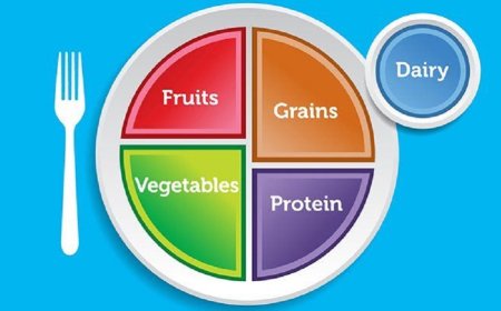 Food pyramid, how to eat properly?
