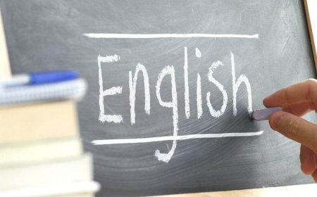 Ideas for lessons To the field, to the court, to the forest